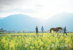 电视剧取景地,跟随电视剧镜头探寻绝美取景地