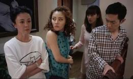 婆媳 电视剧,家庭和谐的密码解码